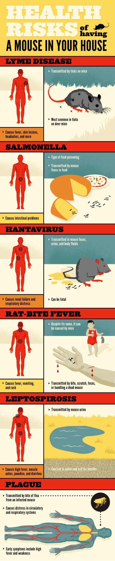 mice control manchester health risk infographic