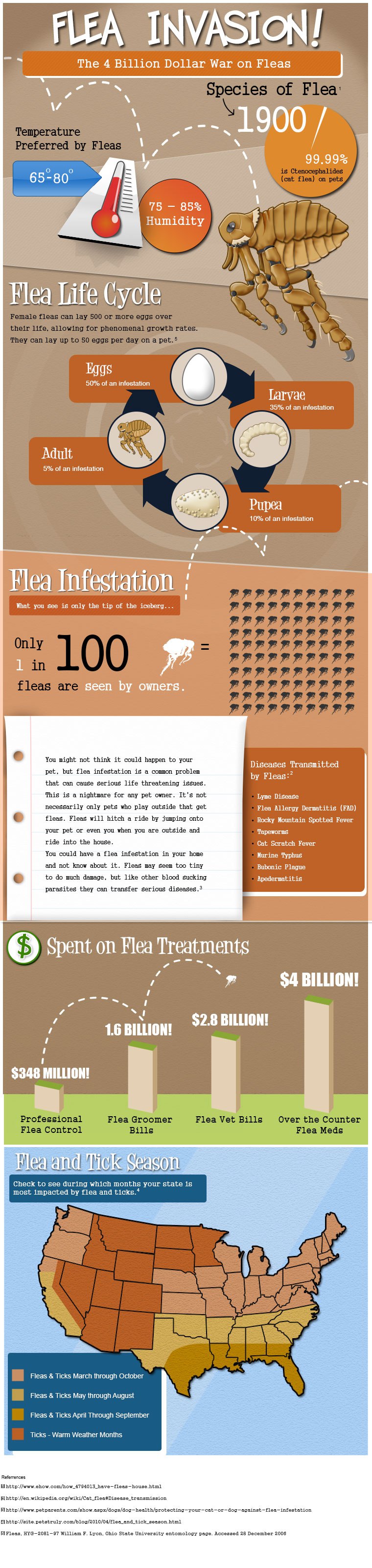 Fleas pest control manchester infographic