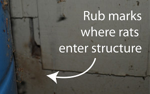 Rub_marks